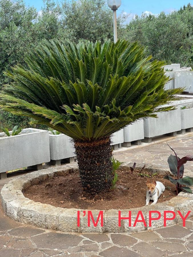 מלון פוטיניאנו Happy'S Casa מראה חיצוני תמונה